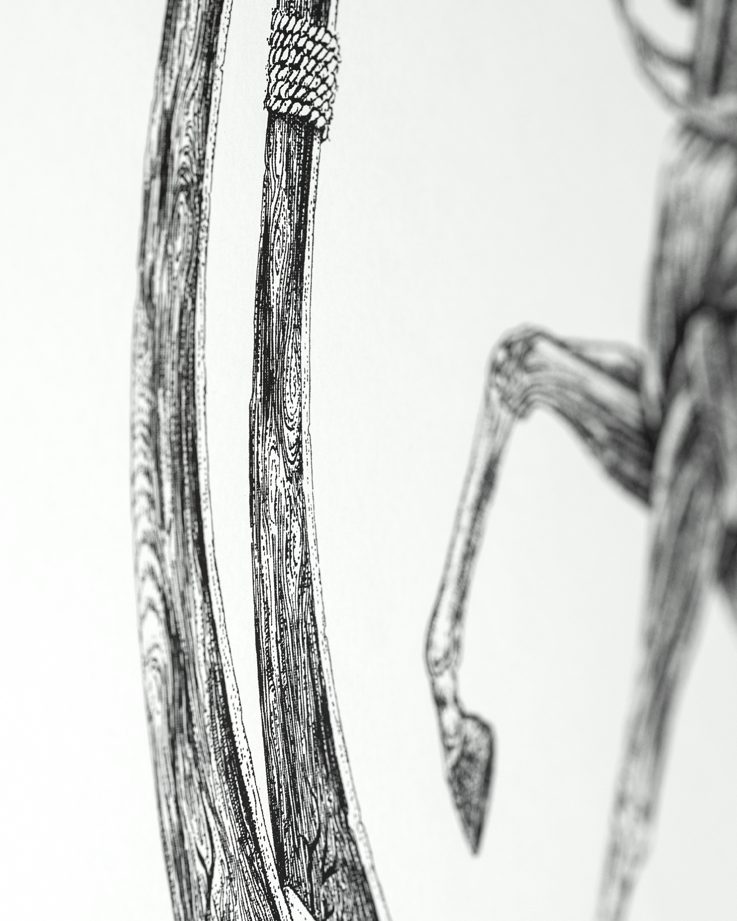 Apokalypse / Апокалипсис